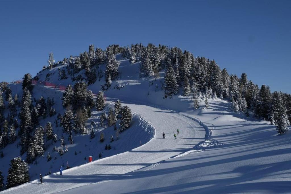 Trilocale Panorama Val Di Fiemme Leilighet Predazzo Eksteriør bilde